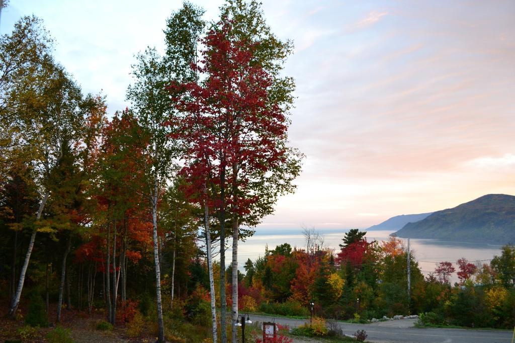 Gite Nature Et Pinceaux Baie-Saint-Paul Bagian luar foto